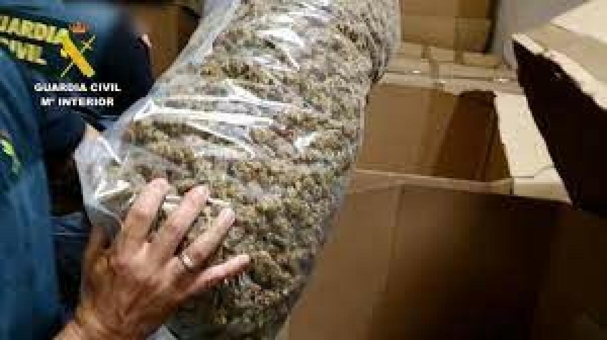 La Guardia Civil incauta el mayor alijo de marihuana descubierto hasta el momento
