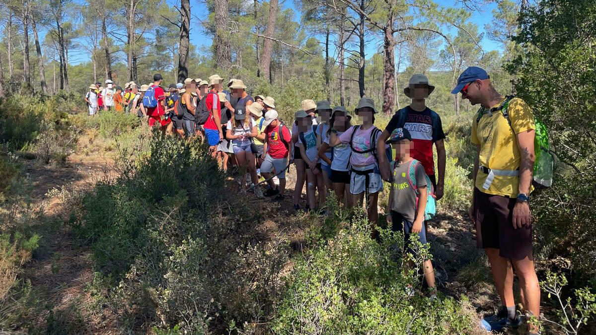 Medio centenar de niños y jóvenes de Benidorm apuran los últimos días del campamento de verano organizado por Juventud