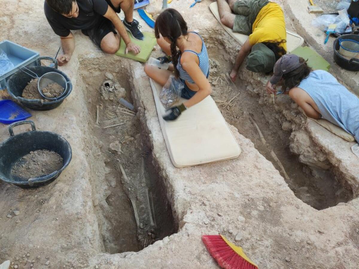 El MARQ concluye las excavaciones en Pobla de Ifach con el descubrimiento de un nuevo tramo de muralla de 30 metros