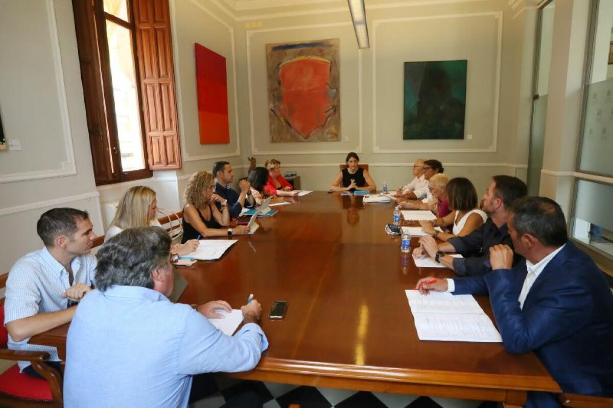La Diputación de Alicante constituye las siete comisiones informativas permanentes