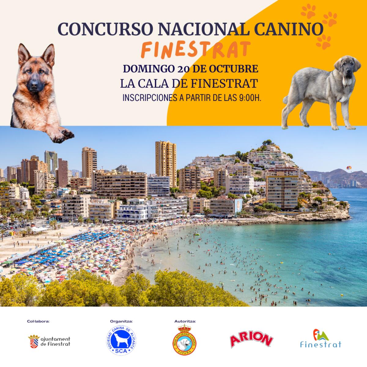 La Cala de Finestrat acoge el próximo domingo 20 de octubre una nueva edición del CONCURSO NACIONAL CANINO