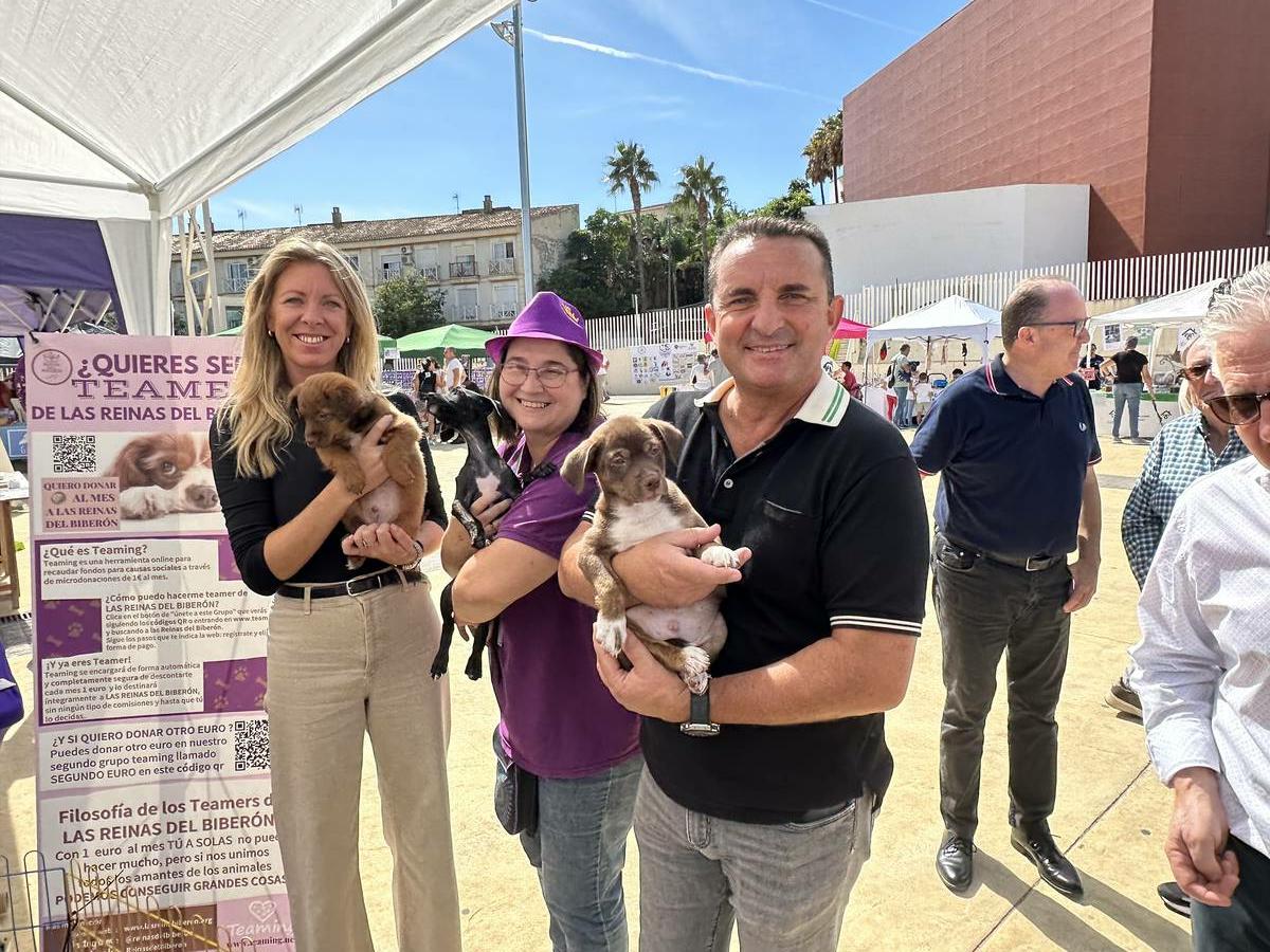 Gran éxito de la II Feria de Adopción Animal 