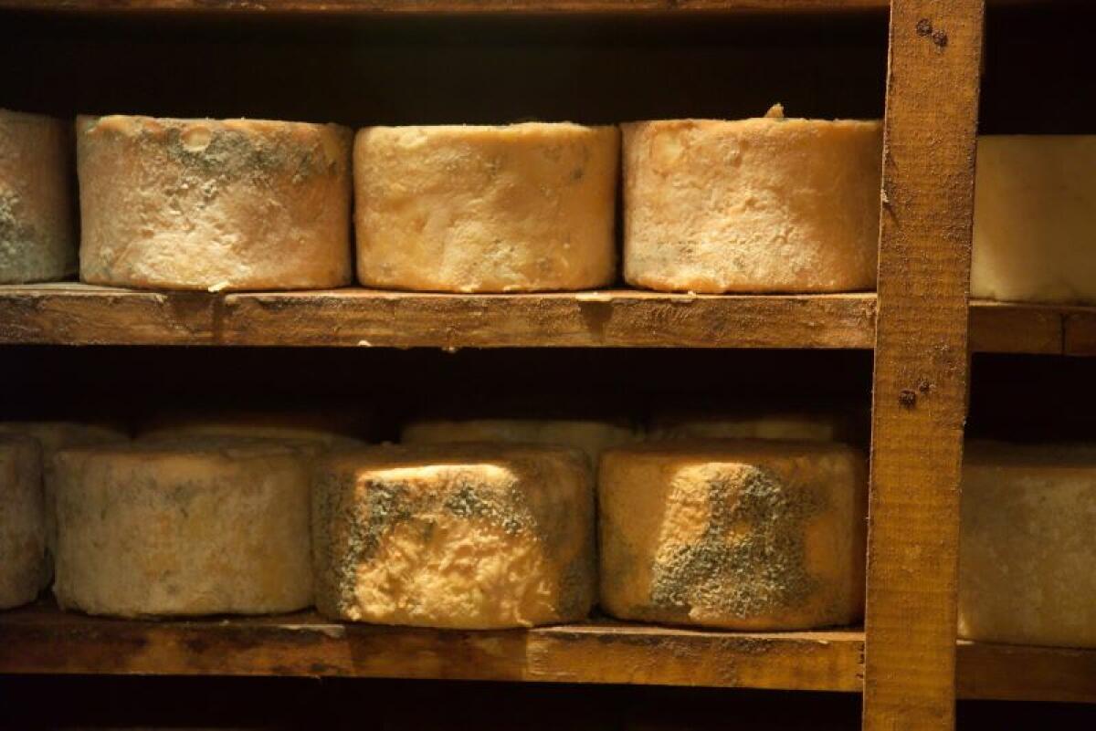 En Comunidad Valenciana hay pocos quesos, pero los que hay son tremendos: estas seis queserías arrasan en todos los campeonatos