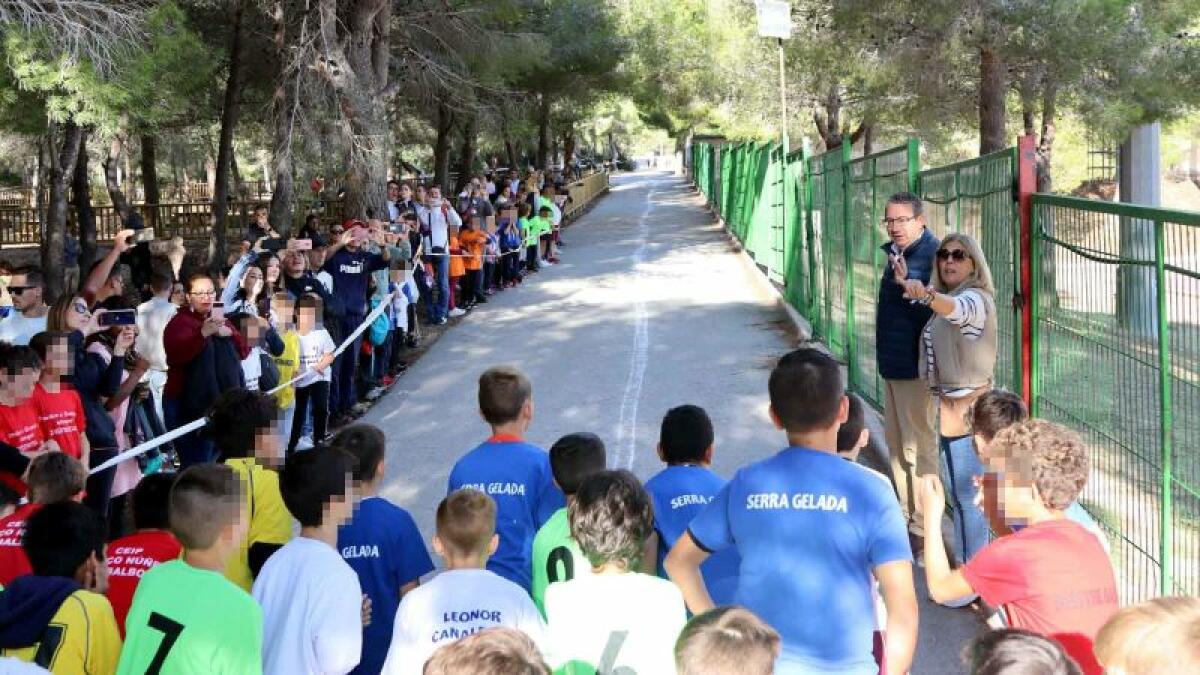 El XXVI Campeonato Escolar Campo a Través supera el medio millar de participantes de todos los colegios de Benidorm