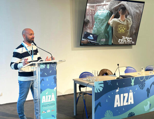 Terra Natura Benidorm participa en el Congreso Anual de AIZA con una ponencia sobre cuestiones reproductivas en rinocerontes y elefantes