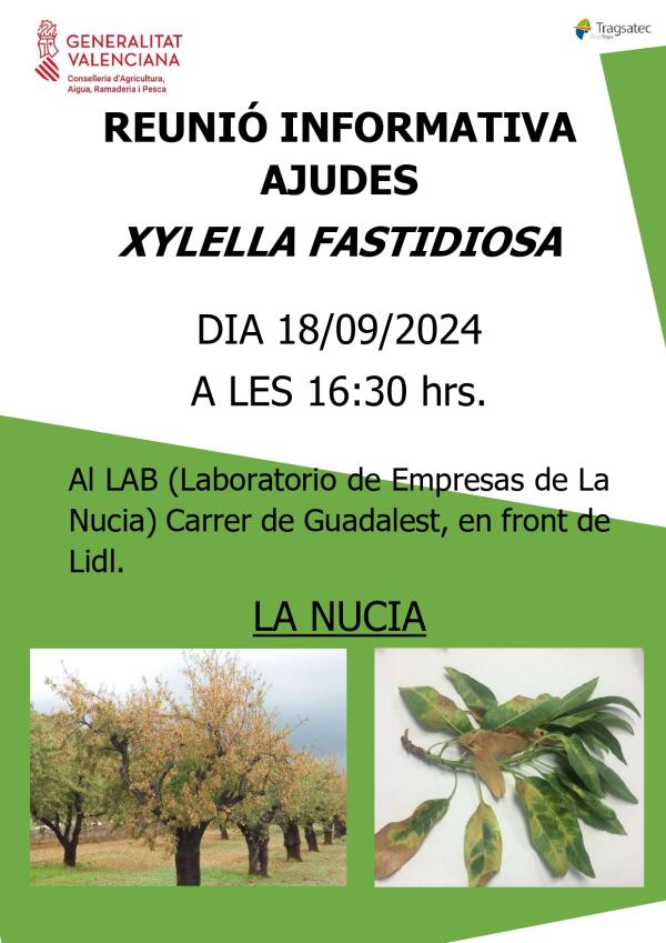 La Nucía acoge una reunión informativa sobre ayudas para la Xylella Fastidiosa