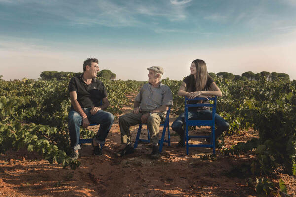 ‘Tarima Hill’, el vino alicantino que se cuela en la lista Wine Spectator y se sitúa entre los diez con mejor calidad – precio del mundo 
