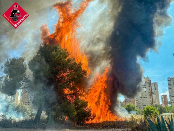 El fuego calcina varios solares y provoca columnas de humo en Benidorm