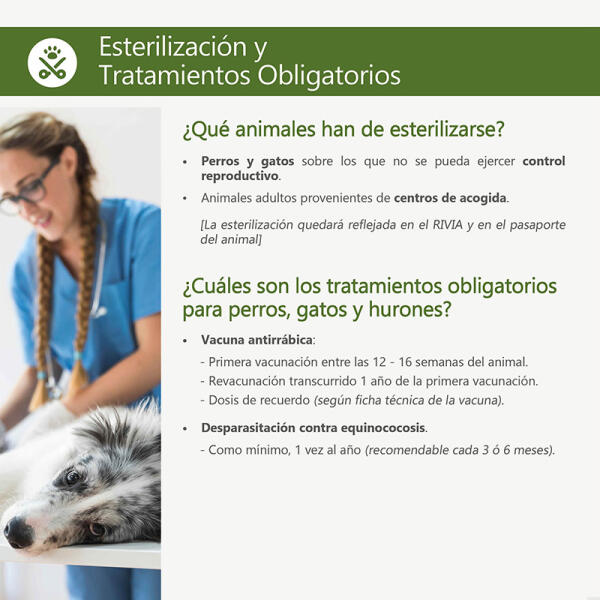 Bienestar Animal ofrece información a la ciudadanía sobre la adopción responsable y los cuidados de los animales domésticos