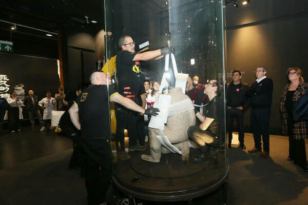 El MARQ inicia el desmontaje de la exposición de Los Guerreros de Xi’an tras su exitoso paso por Alicante