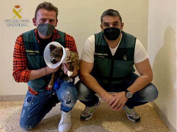 La Guardia Civil ayuda a poner a salvo a un cachorro de perro en Altea