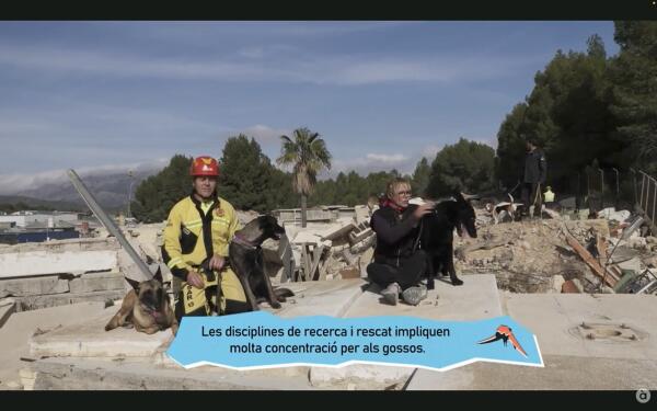 El Campo de Entrenamiento de Perros de Rescate de La Nucía en “Animalades” de À Punt