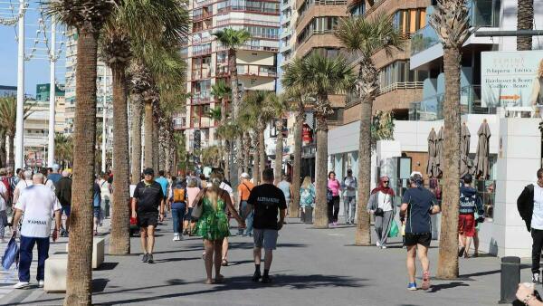 Benidorm vuelve a convocar las ayudas para impulsar nuevos proyectos emprendedores  