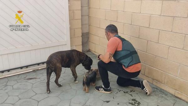 Detenido por estafar a propietarios de perros robados haciéndoles creer que conocía su paradero
