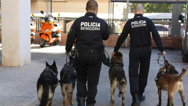 Un detenido por un presunto delito contra la salud pública en una actuación conjunta de las Policías Local y Nacional en dos clubs cannábicos  